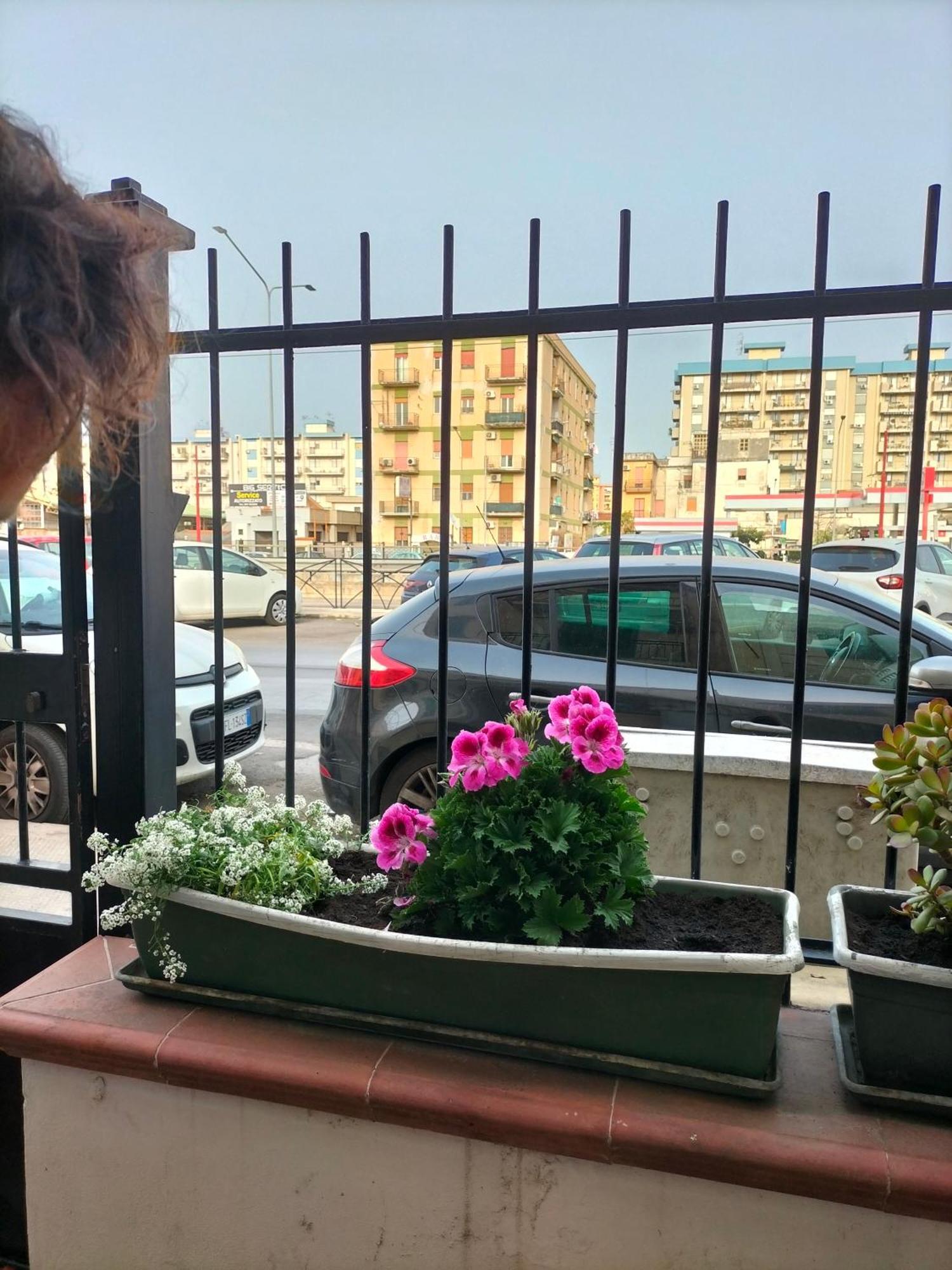 Ciuridda Mia Apartment Palermo Ngoại thất bức ảnh