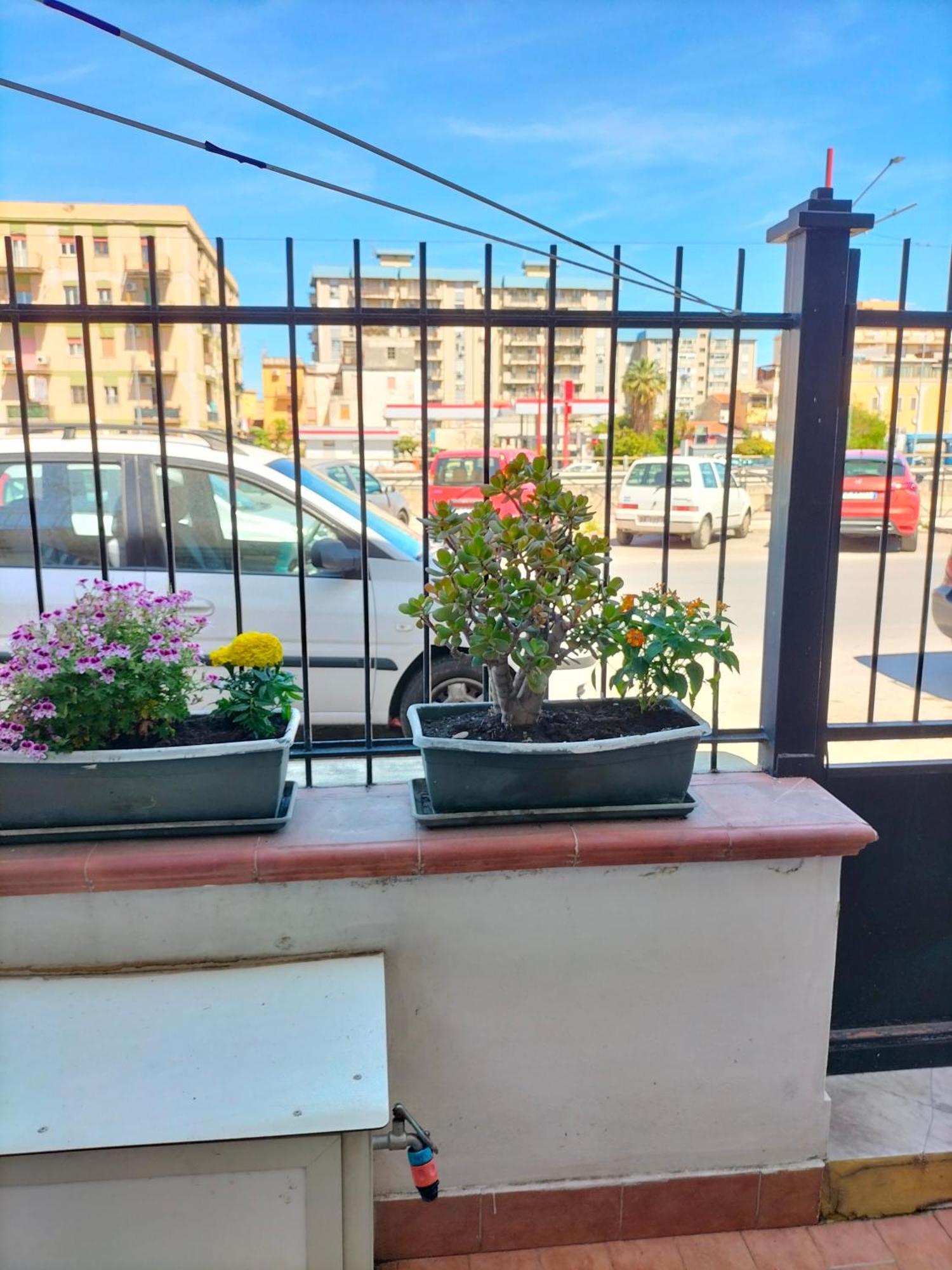 Ciuridda Mia Apartment Palermo Ngoại thất bức ảnh