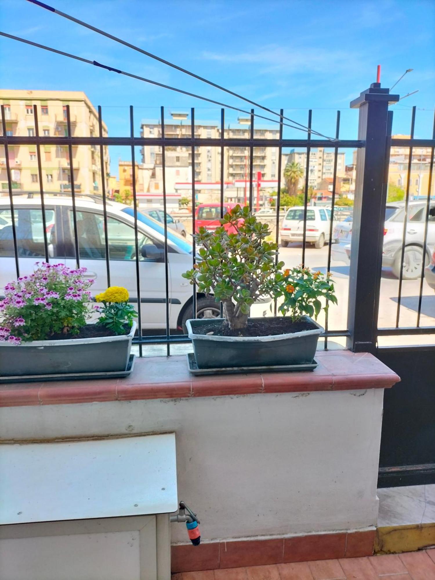 Ciuridda Mia Apartment Palermo Ngoại thất bức ảnh