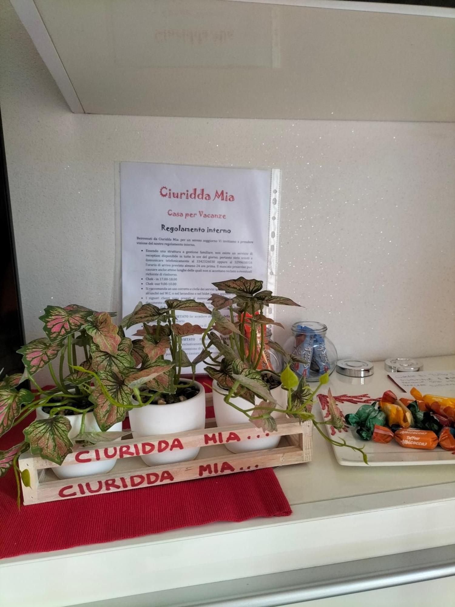 Ciuridda Mia Apartment Palermo Ngoại thất bức ảnh