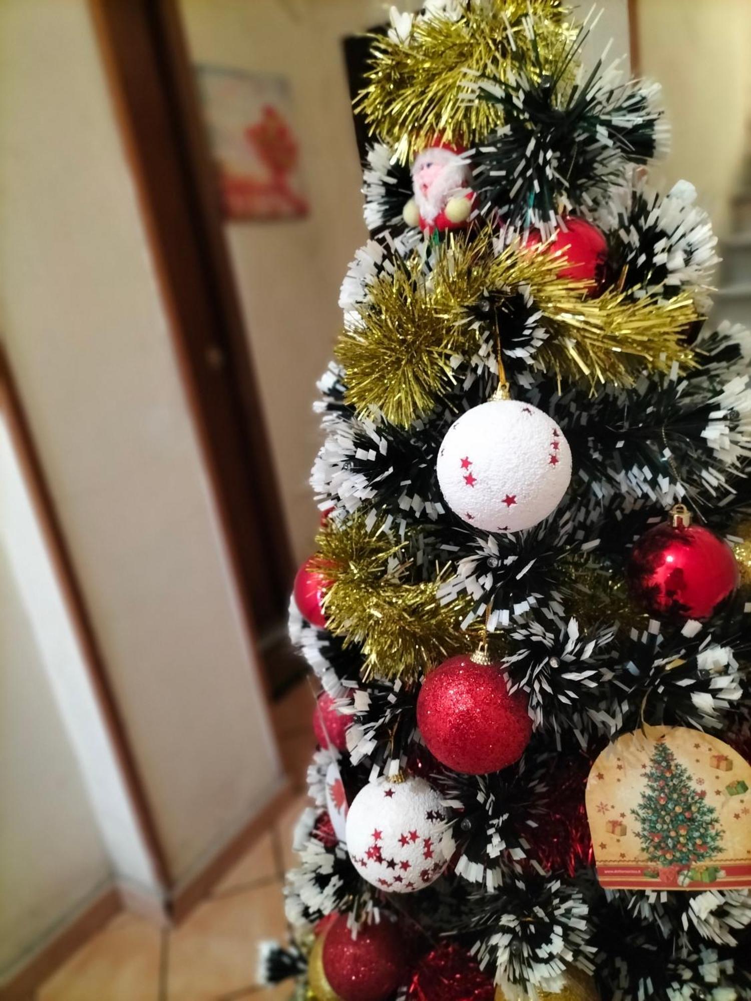 Ciuridda Mia Apartment Palermo Ngoại thất bức ảnh